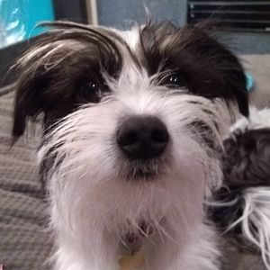 Meet your Posher, Fredrica